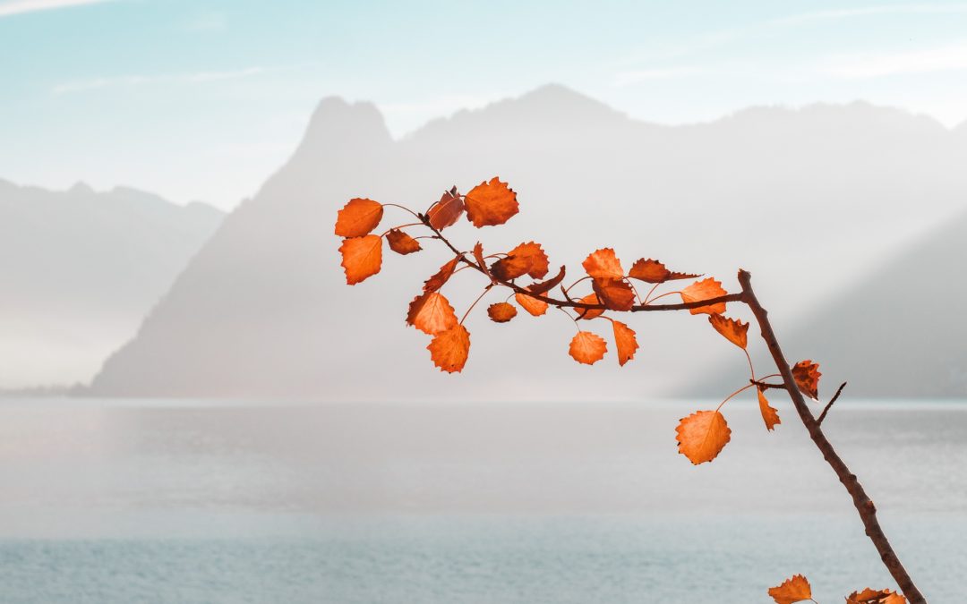 #8: Ich bin müde – eine Geschichte über die kollektive Erschöpfung