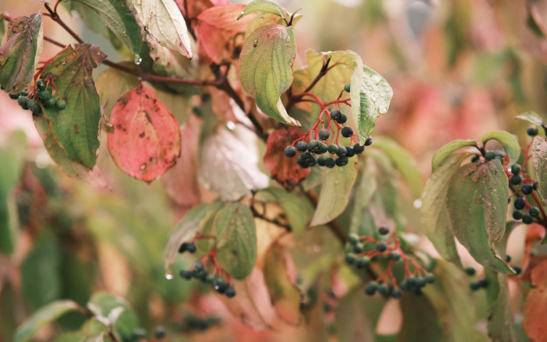 #2 Die Kraft der Intuition: Fühlen lernen