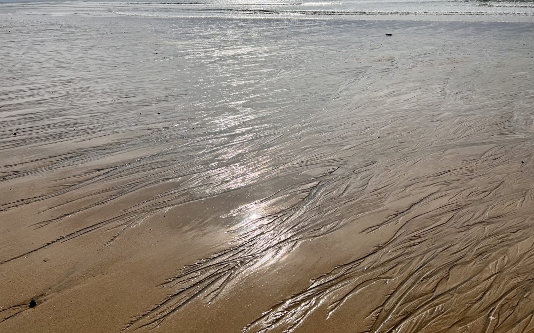 #6 Übernimm Verantwortung für deine Trigger: In vier Schritten raus aus der Triggerfalle